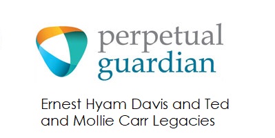 perpetual-guardian-logo